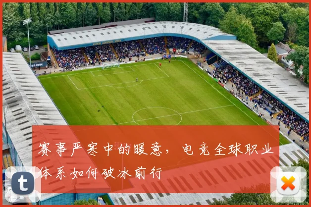 赛事严寒中的暖意，电竞全球职业体系如何破冰前行